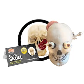 Skull GiantMicrobes Deluxe de pelúcia com órgãos escondidos de 25 cm