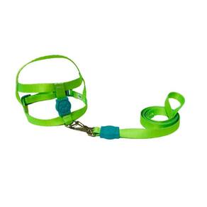 Coleira Peitoral Neon Para Cães Tradicional 15Mm - Verde Nº5