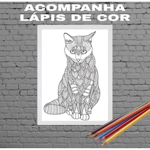 Quadro Decorativo Para Colorir Gato 24X18Cm - Com Vidro