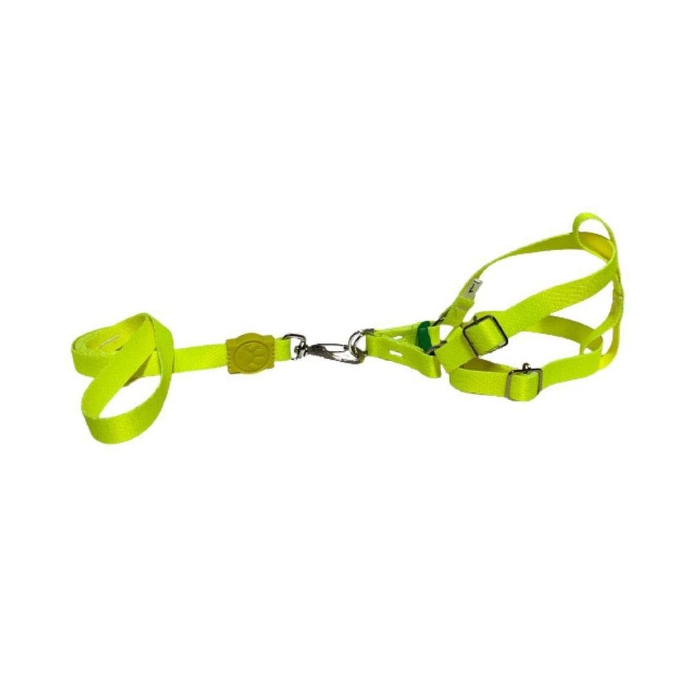 Coleira Peitoral Neon Para Cães Americano 15Mm - Amarelo Nº5