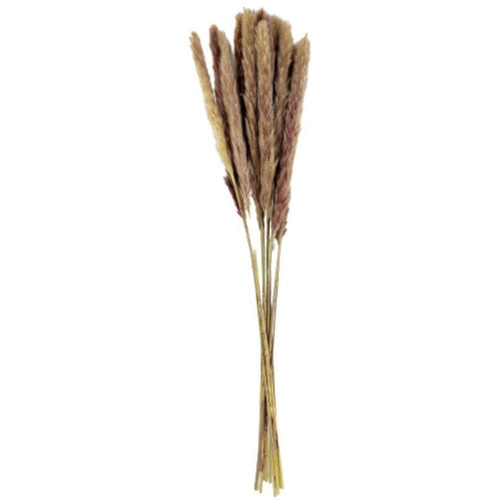 Capim Desidratado Marrom Natural 75X10Cm Planta Artificial