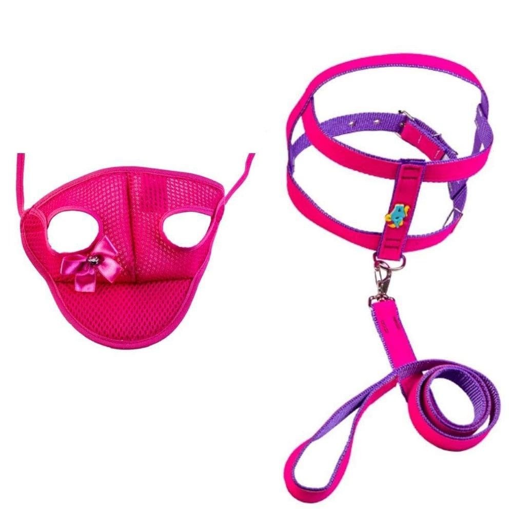 Kit Coleira Peitoral Com Aplique E Boné Para Cachorros - N07