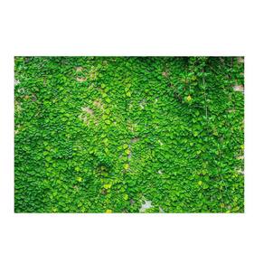 Fundo Fotográfico Muro Inglês 2,2X1,5 Fff-506