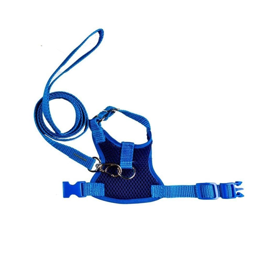 Coleira Peitoral Aerado de Hamster Cor Azul PP - Nicapet