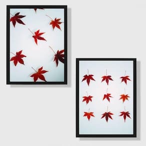 Kit 2 Quadros Maple 45X34Cm - Com Vidro Moldura Preta