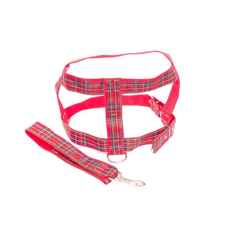 Kit Guia peitoral 40mm xadrez vermelho tam9 63cm a 84cm