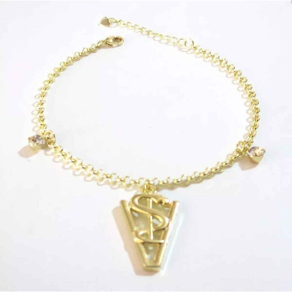 Pulseira Veterinária Amar É Cuidar Folheado 18k