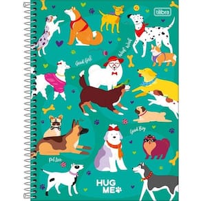 Caderno Espiral Capa Dura Universitário 10 Matérias Hug Me 160 Folhas Tilibra Verde