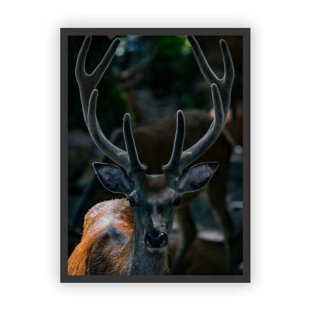 Quadro Decorativo Paisagens Variadas Moldura Preta Mod 06