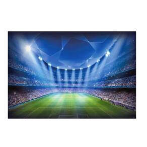 Fundo Fotográfico Newborn Futebol 2,2X1,5 Fff-464
