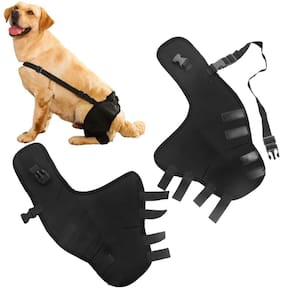 Suporte de joelheira de perna traseira para cães pequenos e médios
