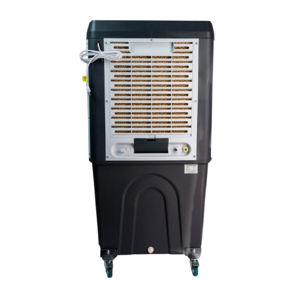 3xg.jpg?imwidth=1000