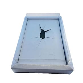 Embala Cristal Caixa Para Ovo De Colher 350G Borda Branco