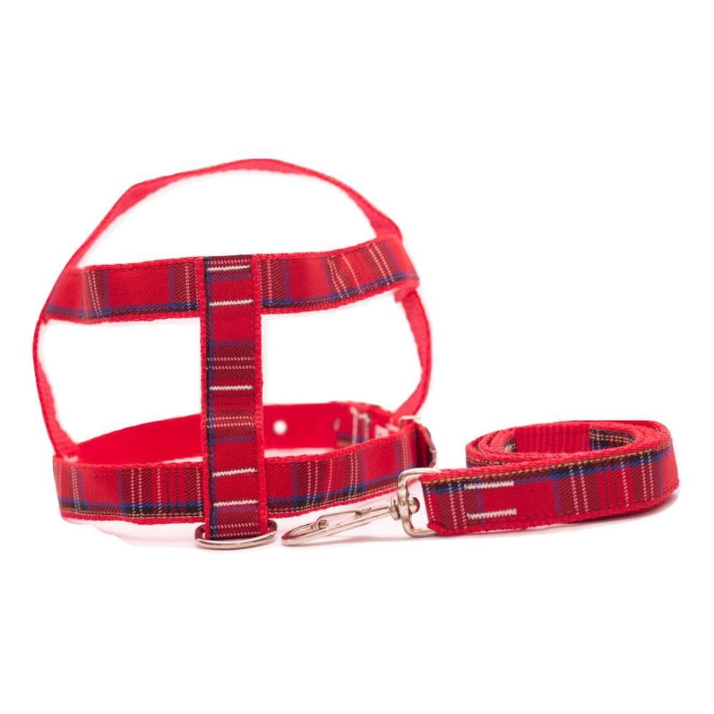 Kit Guia com peitoral 25mm vermelho tamanho 7 54cm a 68cm