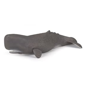 Estatueta Cachalote Papo Marine Life Sperm Whale 56036 Colecionável +3 anos