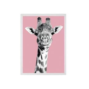 Quadro Foto Girafa Fundo Rosa 24X18Cm - Madeira Branca