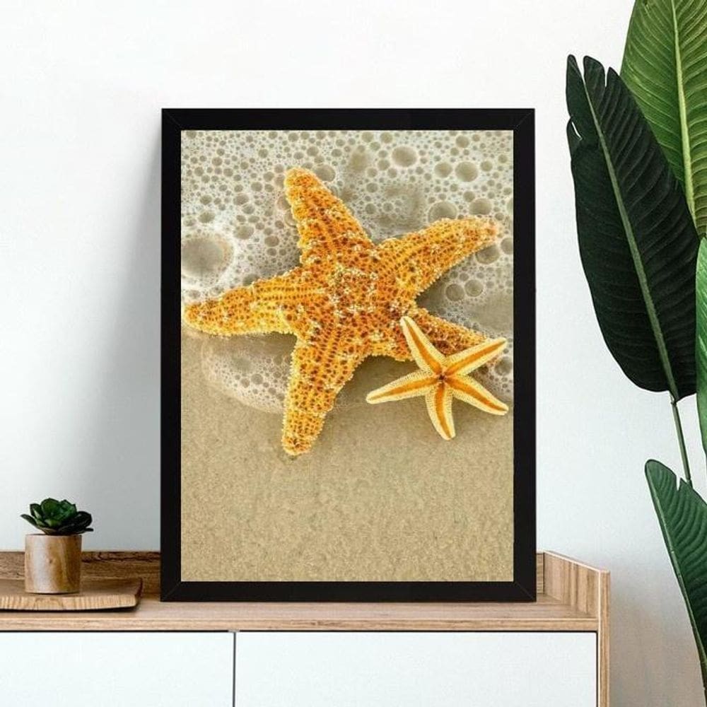 Quadro Foto Praia - Estrela Mar 33X24Cm