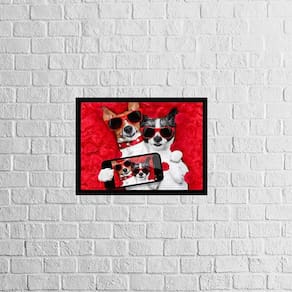 Quadro Selfie Gatinho E Cachorrinho 24X18Cm 002