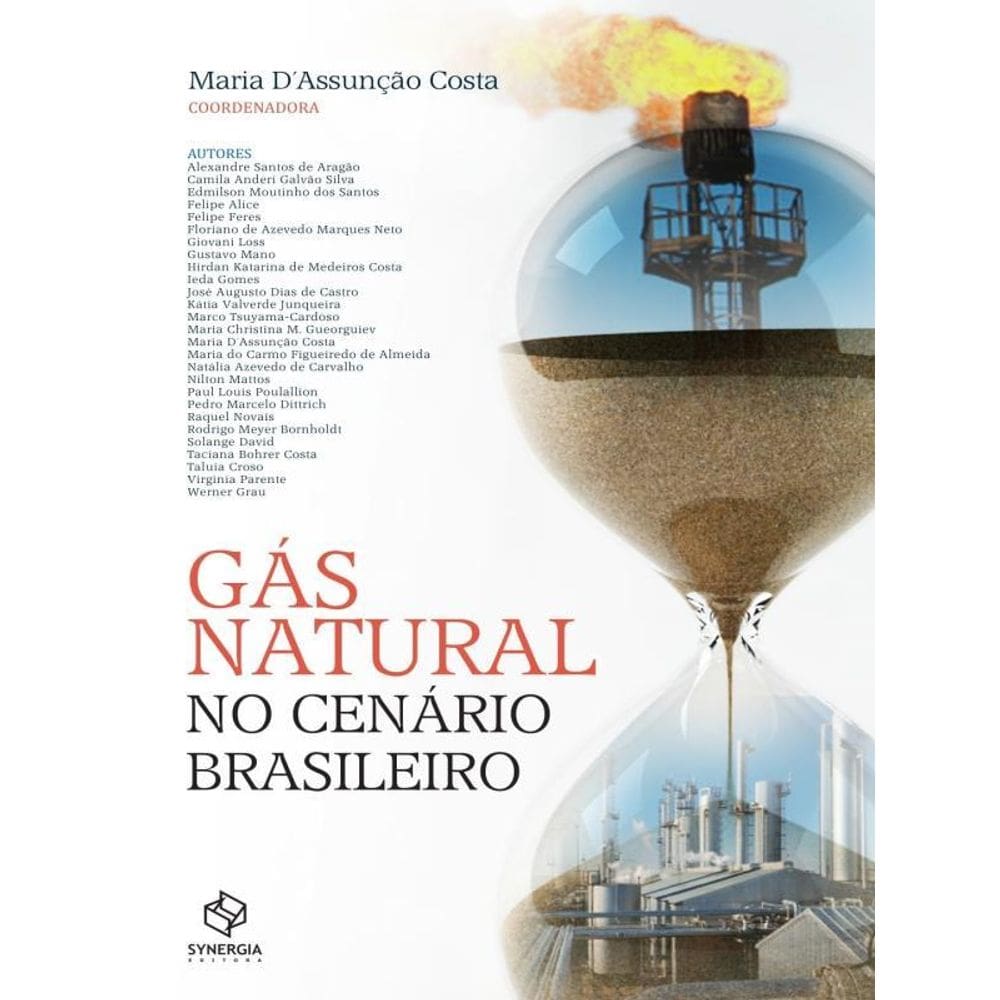 Gás Natural No Cenário Brasileiro