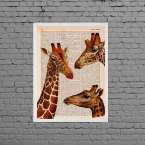 Quadro Decorativo Trio Girafas 45X34Cm Moldura Branca