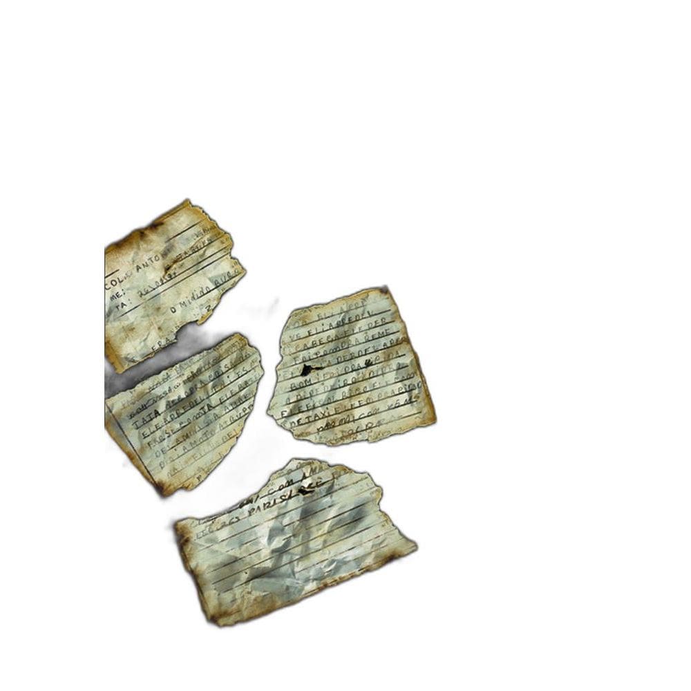 Livro Rasura e equívoco