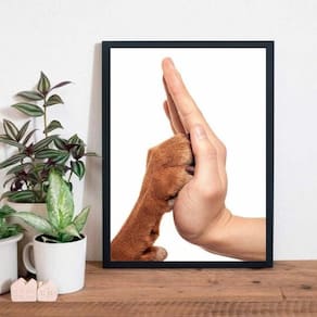 Quadro Fotografia Mão E Pata 45X34Cm Com Vidro Madeira Preta