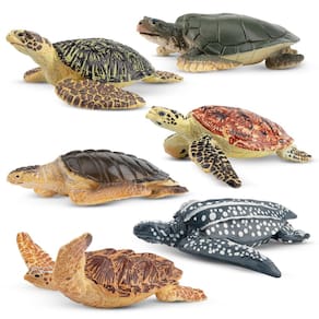 Estatuetas de animais Toy Toymany Sea Turtle 6 unidades para crianças de 3 anos ou mais