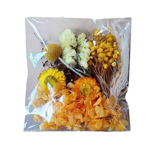 Buquê de flores secas Buquê de margaridas secas para decoração DIY