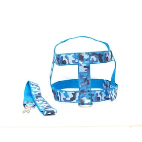 Kit Guia com peitoral 25mm azul tamanho 6 53 cm a 70 cm