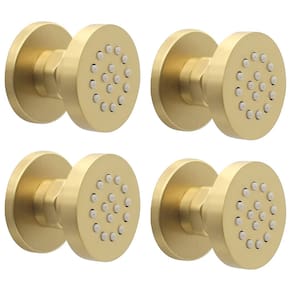 Pacote com 4 jatos de spray de chuveiro HOMEDEC em latão escovado e dourado