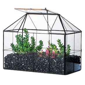 Plantador de terrário NCYP Glass com tampa para cactos suculentos 25x13,5x20cm