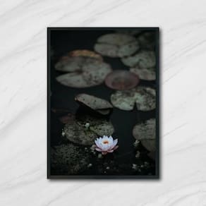 Quadro Flor De Lotus 45X34Cm Com Vidro Moldura Preta