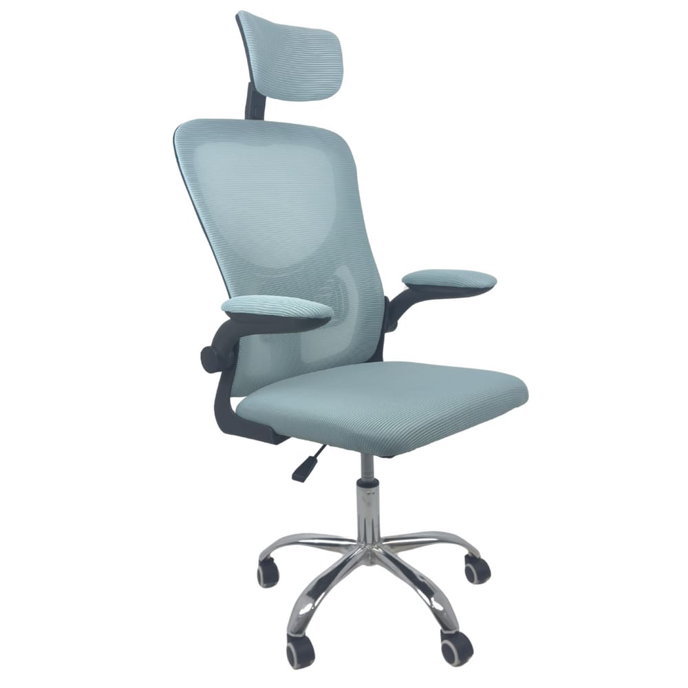 Cadeira de Escritório Diretor Oficial Vegas com apoio