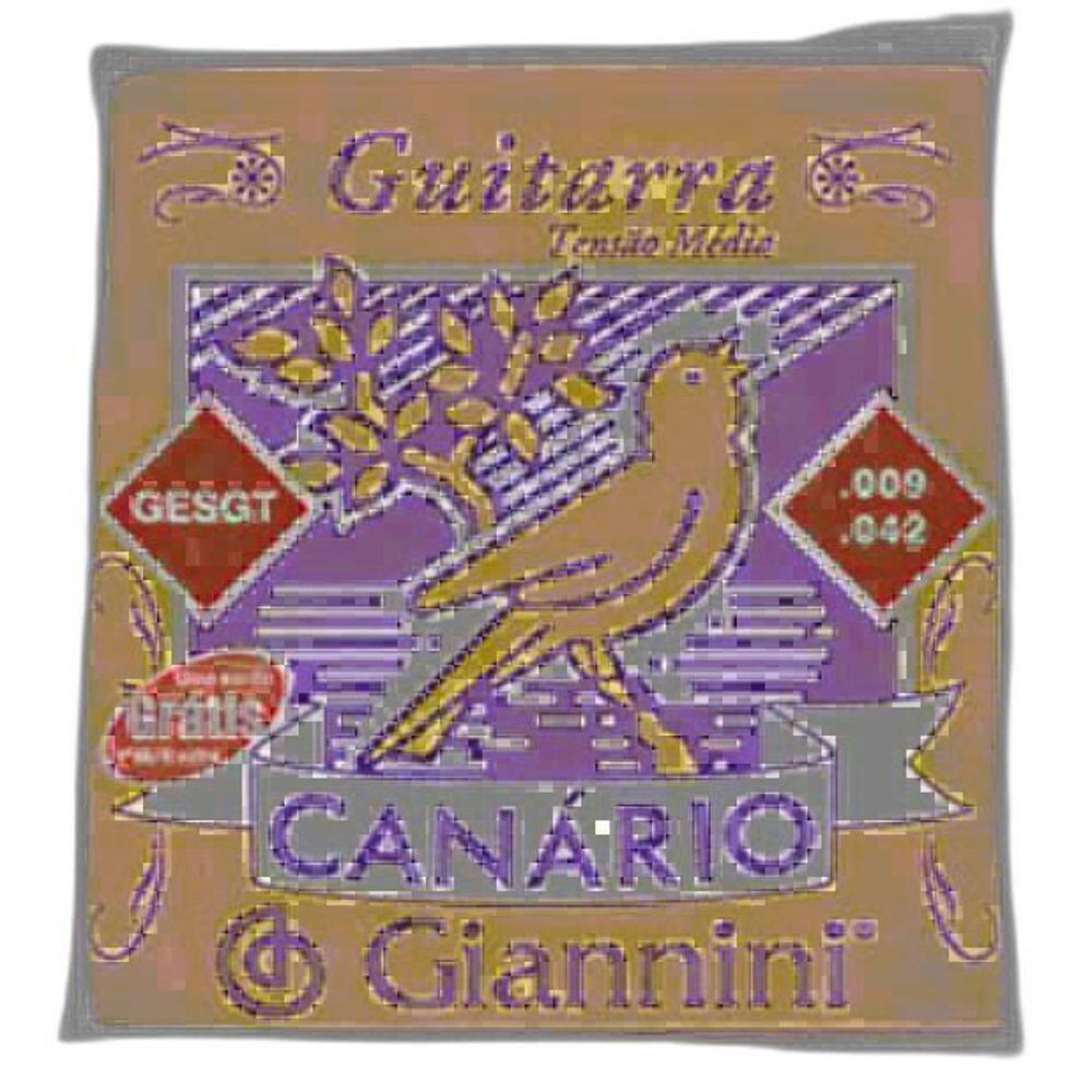 Encordoamento para guitarra canario .010 - gesgt10