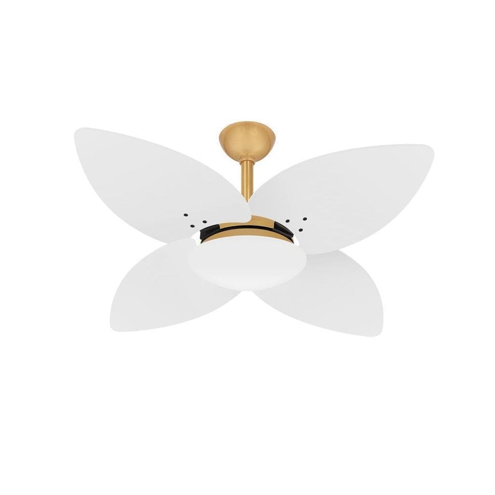 Ventilador De Teto Dourado 4 Pás Econômico Winds Ventax 220V