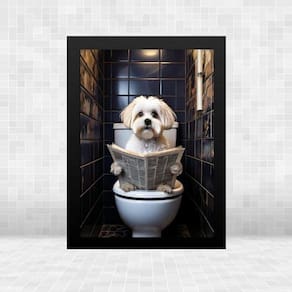 Quadro Banheiro Maltês No Vaso Lendo Jornal 24X18Cm - Vidro