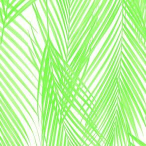 Papel De Parede Vince Folhagem Verde V1012-56