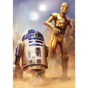Quebra-cabeça Buffalo Games Star Wars Droids Tatooine 300 unidades