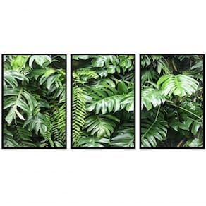 Kit Com 3 Quadros Decorativos 60x40 Cm Folhagem Fotografico