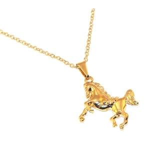 Colar Cordão Cavalo Cavalgada Country Folheado Ouro 18k