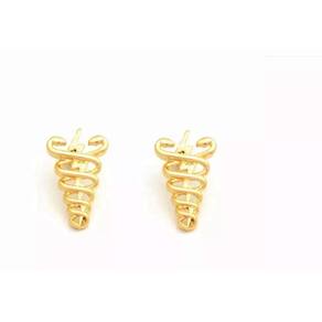 Brinco Fisioterapia Fisioterapeuta Folheado A Ouro 18k