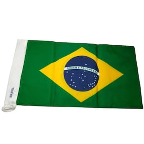 Bandeira Brasil Oficial 33x50cm Euroflag 100% Poliéster