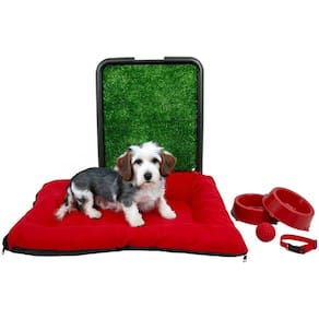 Kit Pet Pequeno Cama Futon com Sanitário Grama e Acessórios