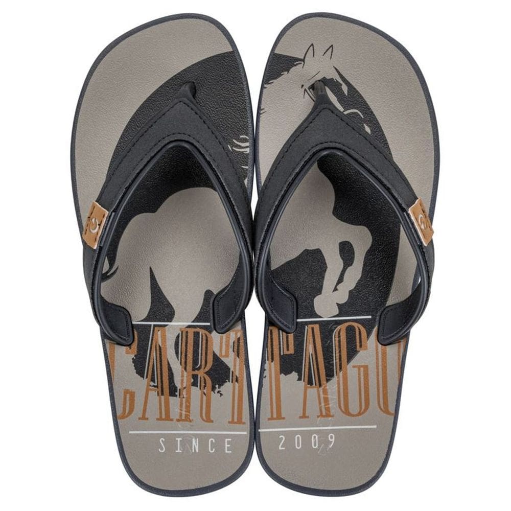 Chinelo Masculino Conforto Dia a Dia V25 Dakar Cartago