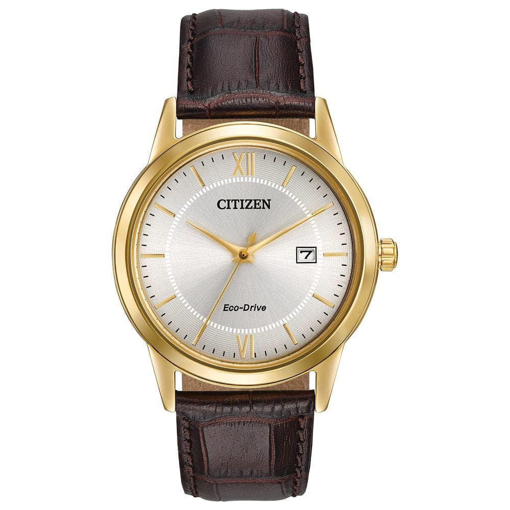 Relógio Citizen Classic Eco-Drive com pulseira de couro para homens