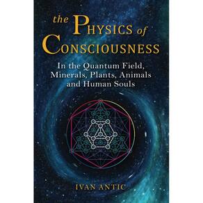 Livro A Física da Consciência no Campo Quântico