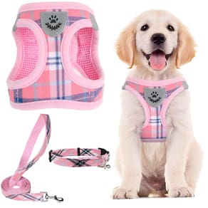 Conjunto de coleira e coleira para animais de estimação PUPTECK ajustável rosa L