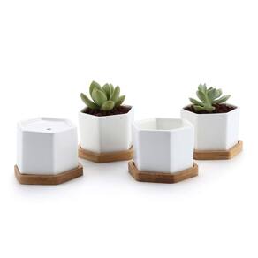 Vasos para plantas suculentas T4U, pequeno conjunto de hexágonos de cerâmica branca, 4