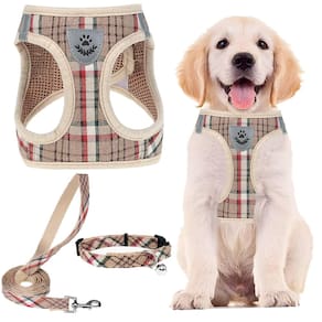 Conjunto de coleira e coleira para animais de estimação PUPTECK Adjustable Khaki M