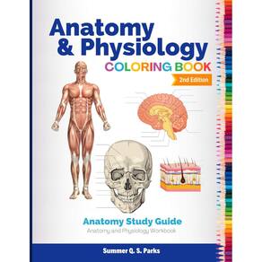 Guia de estudo de coloração de anatomia e fisiologia do livro